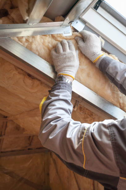Best Blown-in Insulation in Bevil Oaks, TX