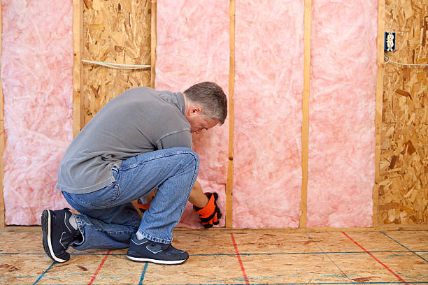 Best Fiberglass Insulation in Bevil Oaks, TX